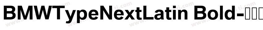 BMWTypeNextLatin Bold字体转换